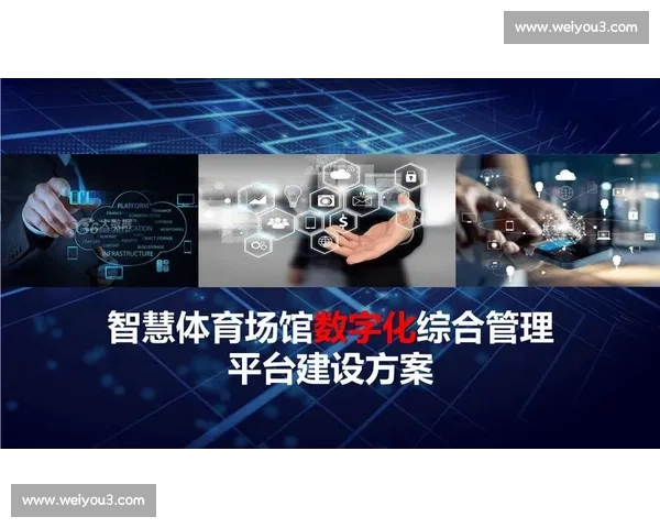 提升体育组织运营效率的策略与管理模式创新研究